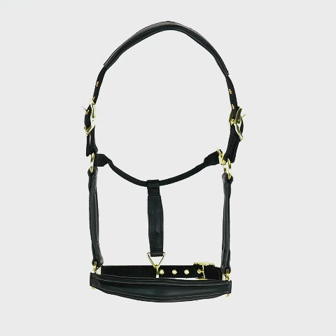 Shires Velociti Lusso gepolstertes Lederhalfter