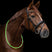 Waldhasuen LED Neck Strap #colour_green