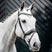 Horseware Ireland Diamante Flash Bridle #colour_black-silver
