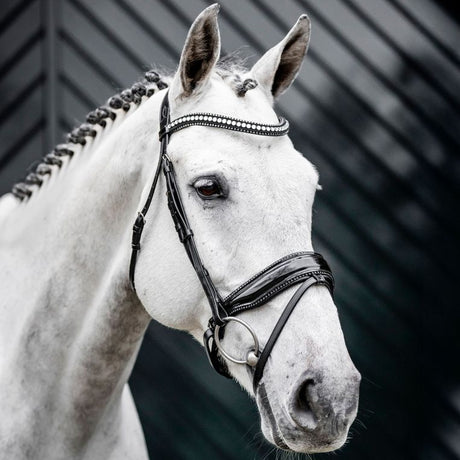 Horseware Ireland Diamante Flash Bridle #colour_black-silver