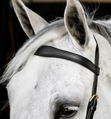 Horseware Micklem Multi Bridle #colour_black