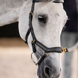 Horseware Micklem Multi Bridle #colour_black