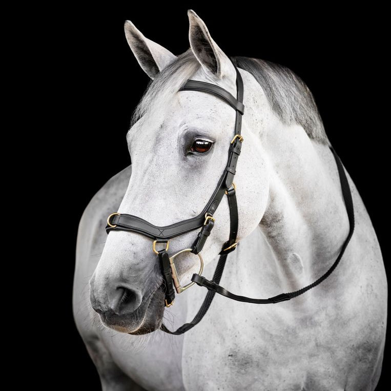 Horseware Micklem Multi Bridle #colour_black