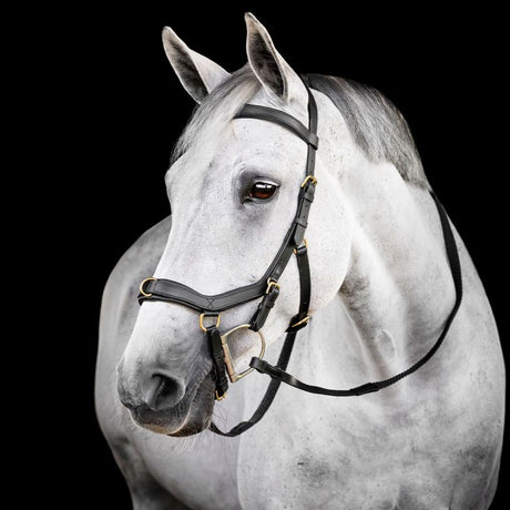Horseware Micklem Multi Bridle #colour_black