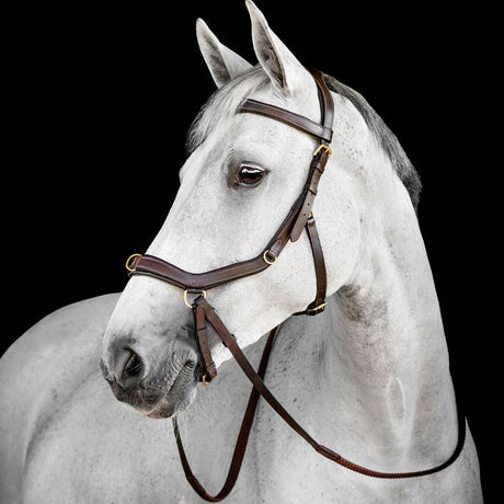 Horseware Micklem Multi Bridle #colour_dark-havana