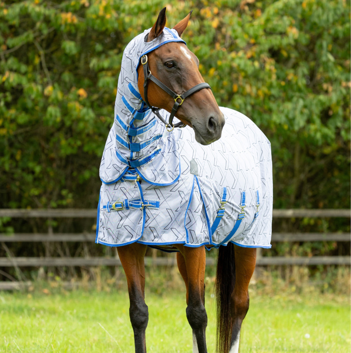 DefenceX Shield Guardian Evolution UV Combi Fly Rug with Mask