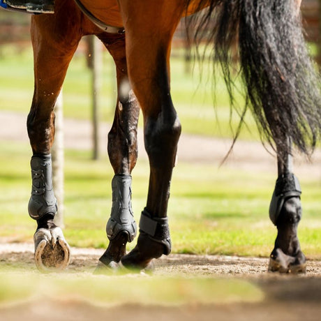 Horseware Ireland Classic Fetlock Boots #colour_black-black