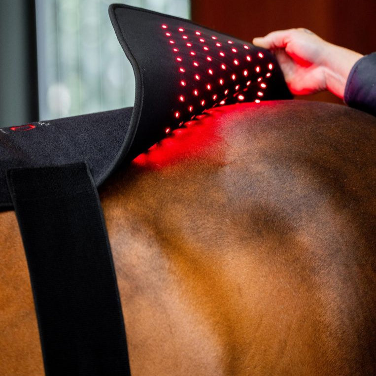 Horseware Ireland LED Red Light Therapy Pad #colour_black-black