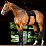 Horseware Ireland LED Red Light Therapy Pad #colour_black-black