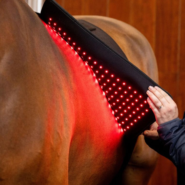 Horseware Ireland LED Red Light Therapy Pad #colour_black-black
