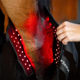 Horseware Ireland LED Red Light Therapy Hock Boots Pair