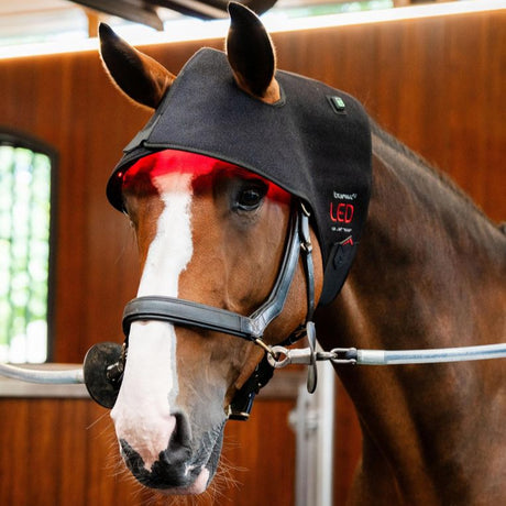 Horseware Ireland LED Red Light Therapy Poll Cap #colour_black-black