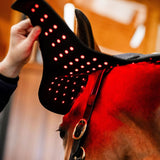 Horseware Ireland LED Red Light Therapy Poll Cap #colour_black-black
