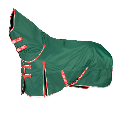 Shires Ontario 50g Combo Turnout Rug #colour_dark-green