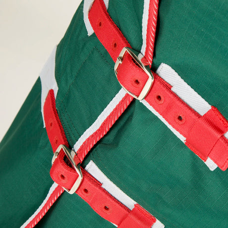 Shires Ontario 50g Combo Turnout Rug #colour_dark-green