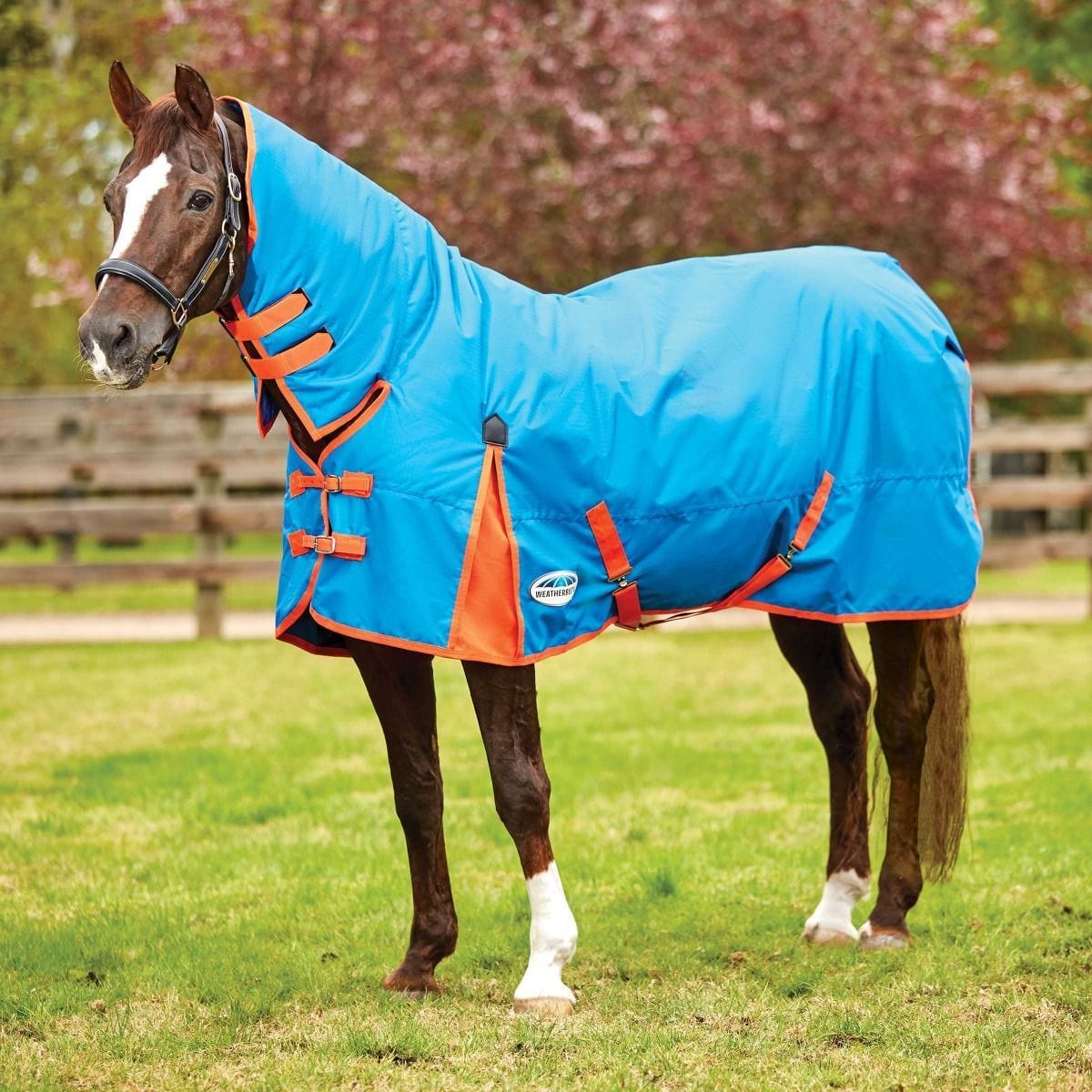 Weatherbeeta ComFiTec Classic Combo Neck Medium Turnout Rug – GS Equestrian