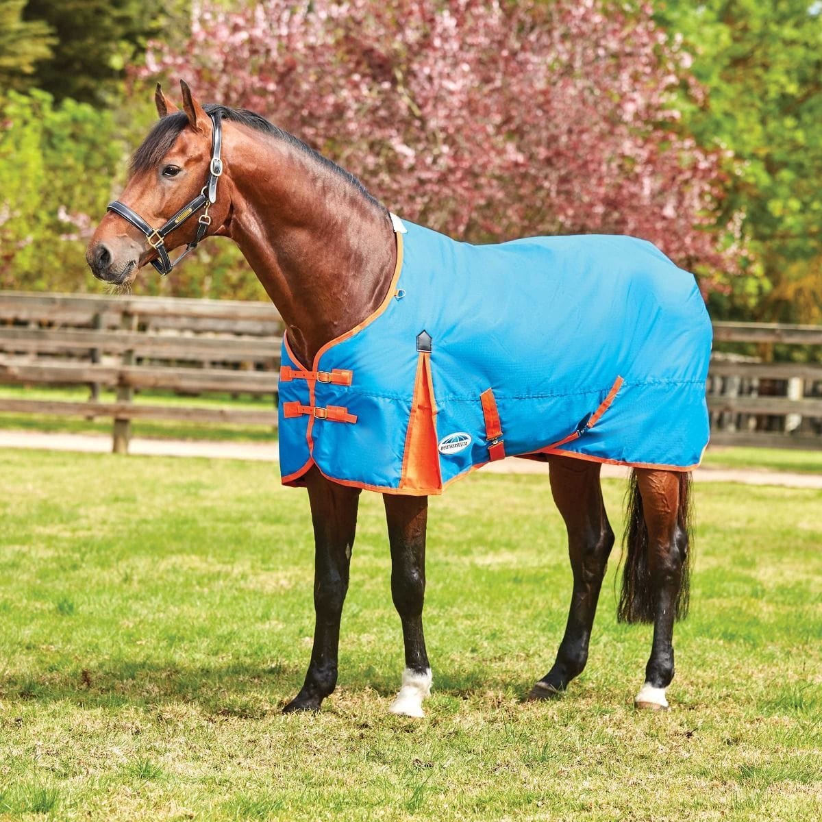 Weatherbeeta Comfitec Classic Standard Neck Medium – GS Equestrian