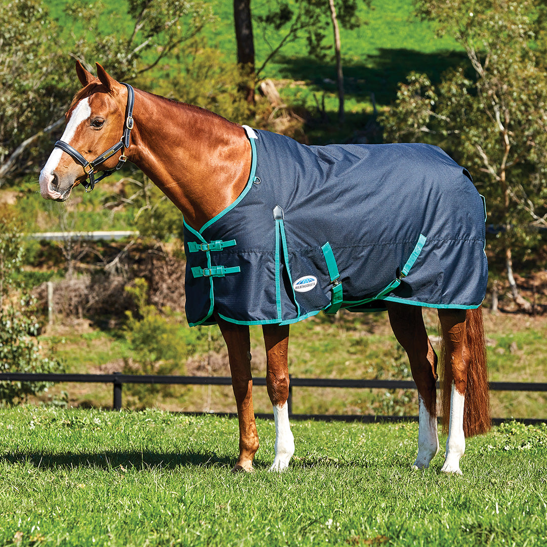 Weatherbeeta Comfitec Classic Standard Neck Medium – GS Equestrian