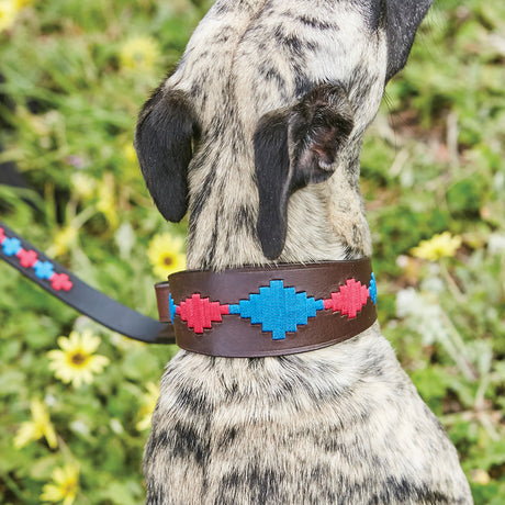 Weatherbeeta Lurcher Polo Leather Dog Collar #colour_beaufort-brown-pink-blue
