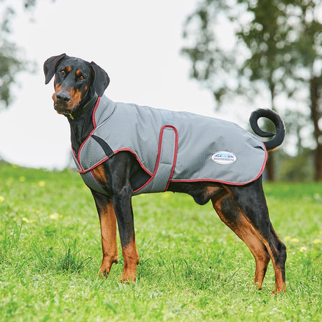 Weatherbeeta Comfitec Premier Free Parka Deluxe Dog Coat Medium #colour_grey-burgundy