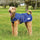 Weatherbeeta Comfitec Premier Free Parka Deluxe Dog Coat Medium #colour_dark-blue-grey-white
