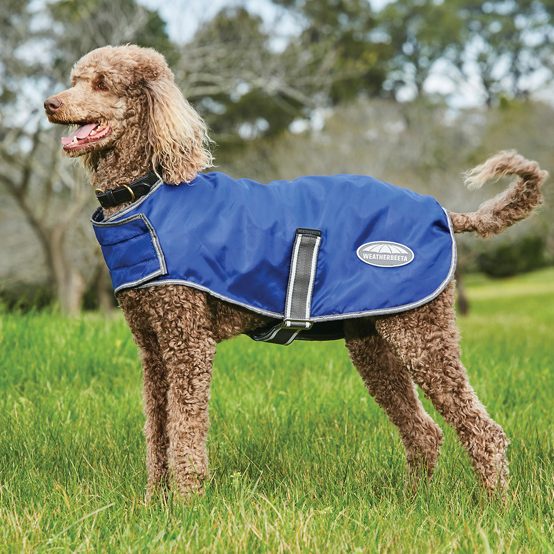 Weatherbeeta windbreaker 420d dog coat 2025