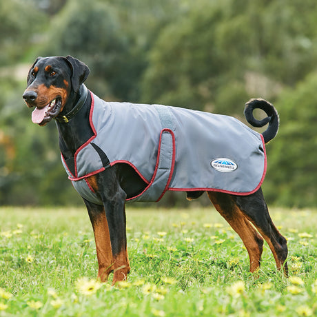 Weatherbeeta Comfitec Windbreaker Free Parka Deluxe Dog Coat #colour_grey-burgundy