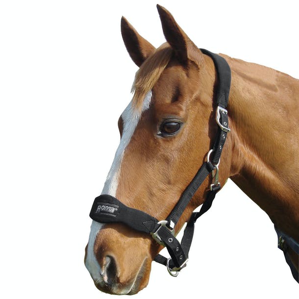 Roma Fleece Shaped Headcollar #colour_black