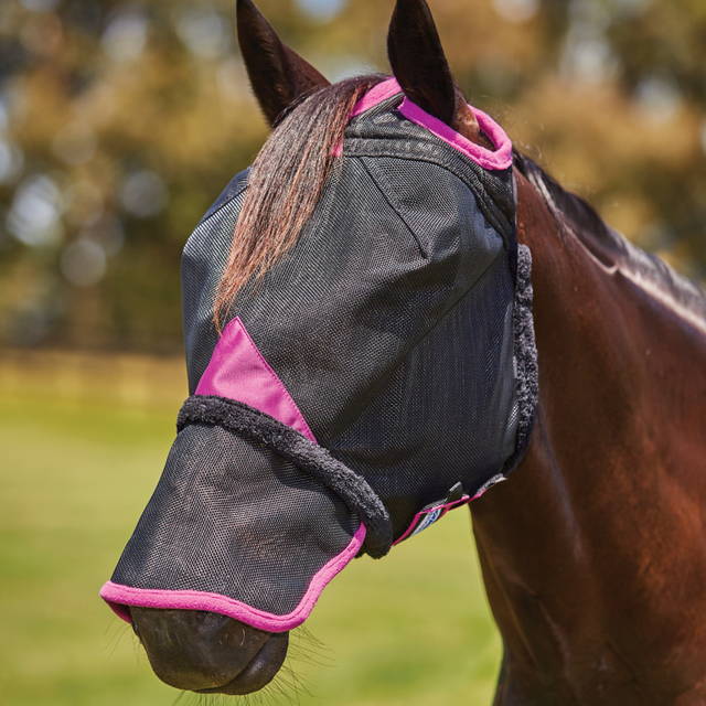 Weatherbeeta ComfiTec Deluxe Durable Mesh Mask With Nose #colour_black-purple