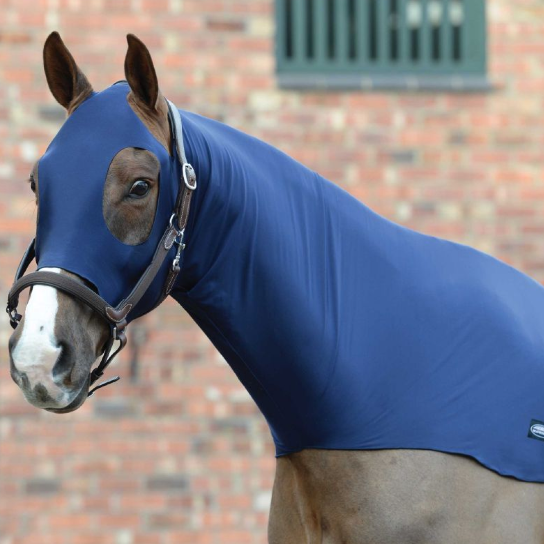 Stretch Hood