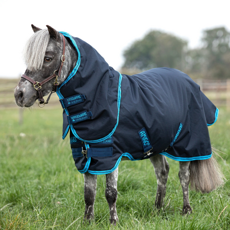 Horseware Ireland Amigo Hero 6 Petite Plus Medium #colour_navy-electric-blue