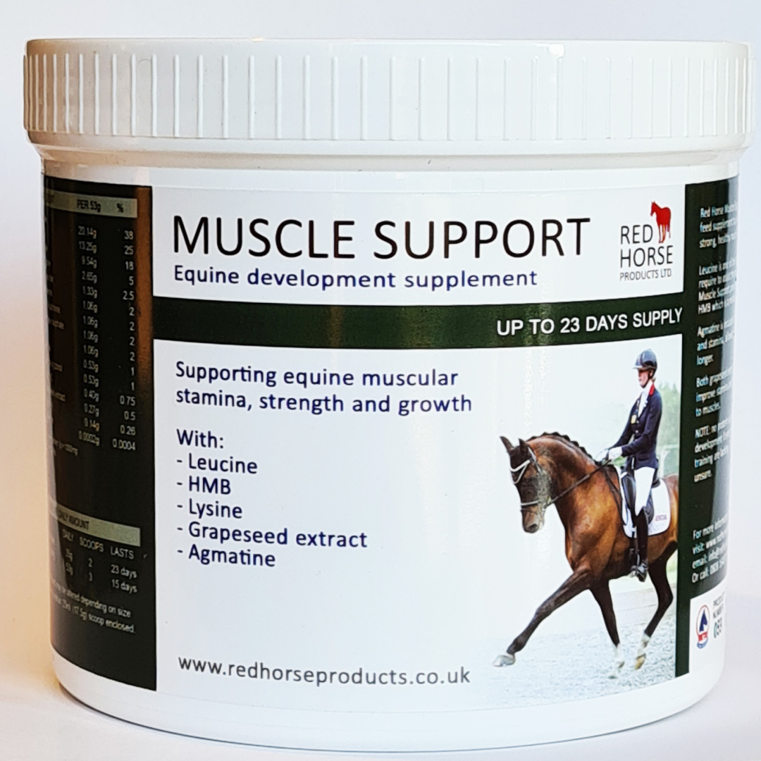 Red Horse Muscle Support