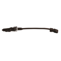 Collegiate Lip Strap