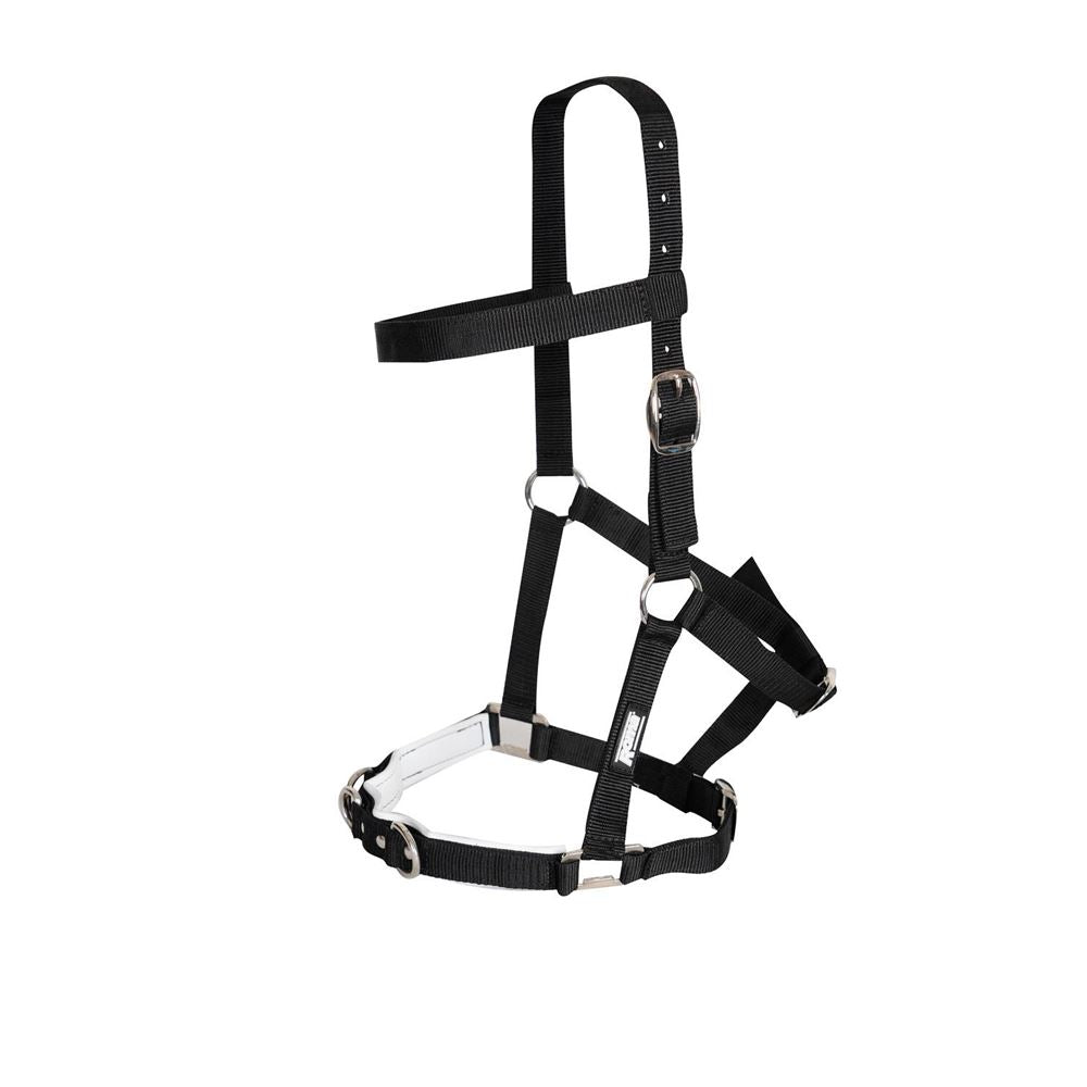 Kincade Nylon gepolsterter Longierkappzaum