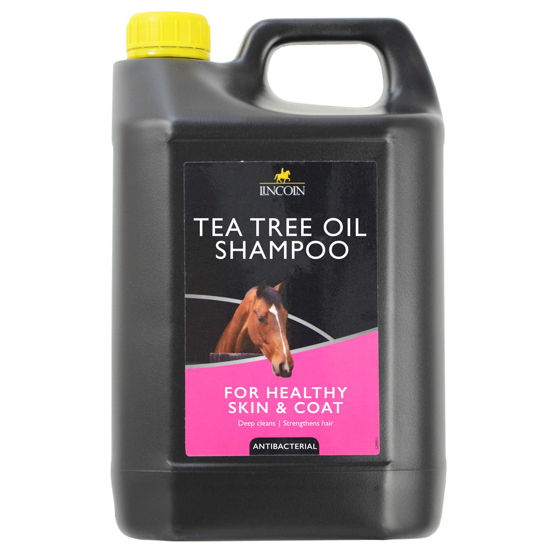 Lincoln Teebaumöl-Shampoo