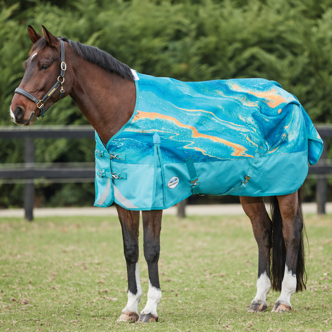 Weatherbeeta Comfitec Plus Dynamic II Standard Neck Lite – GS Equestrian