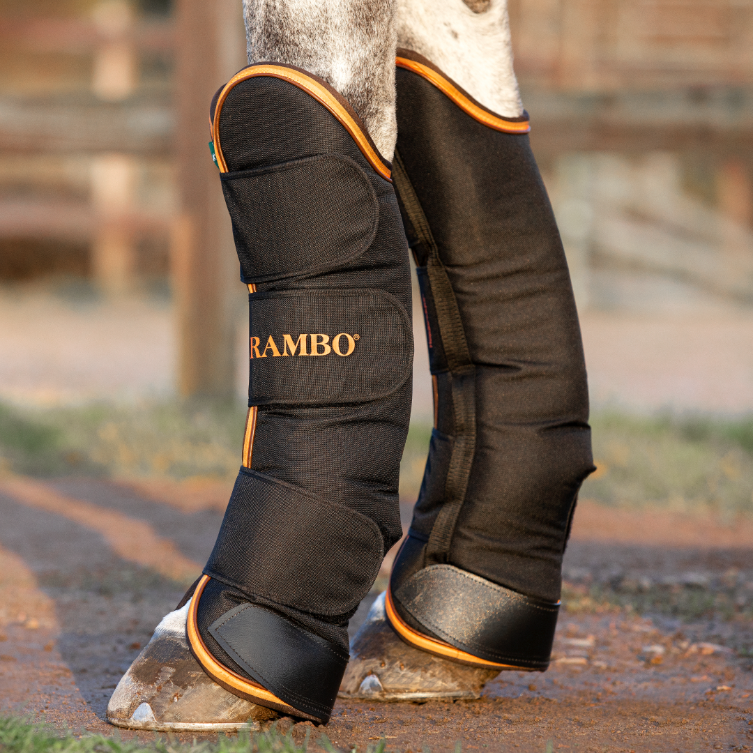 Horseware Ireland Rambo Travel Boots GS Equestrian