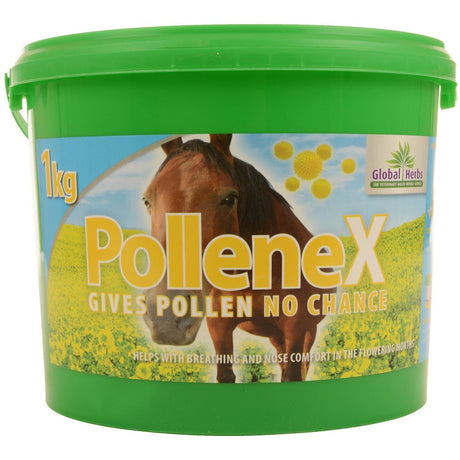 Globale Kräuter Pollenex