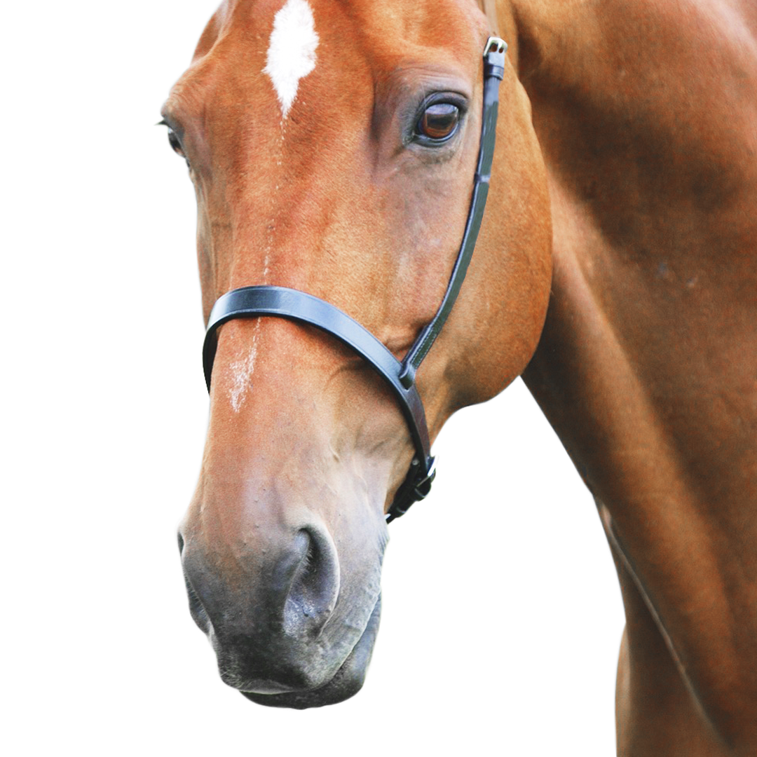 Shires Velociti GARA Cavesson Noseband