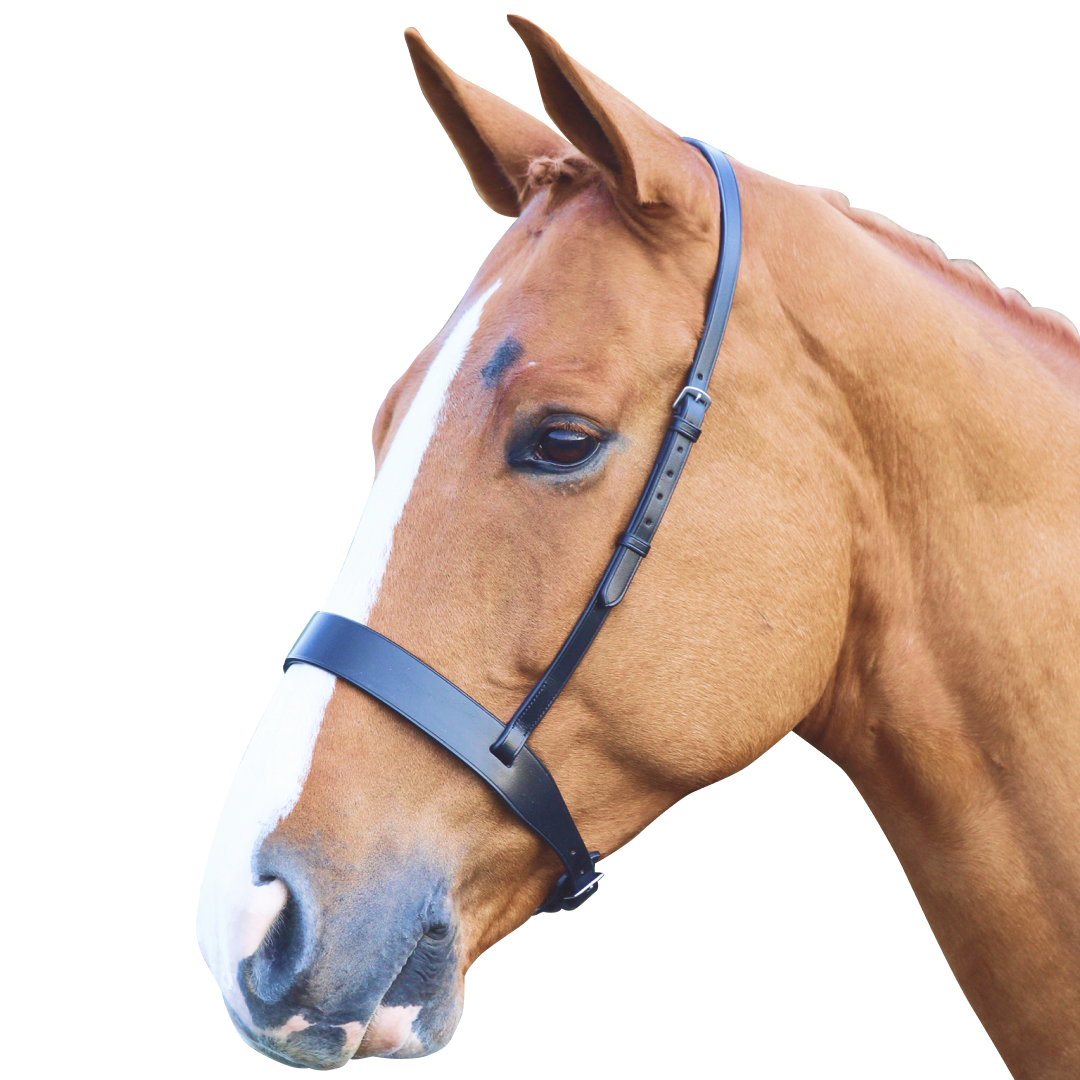 Shires Velociti GARA Hunter Cavesson Noseband