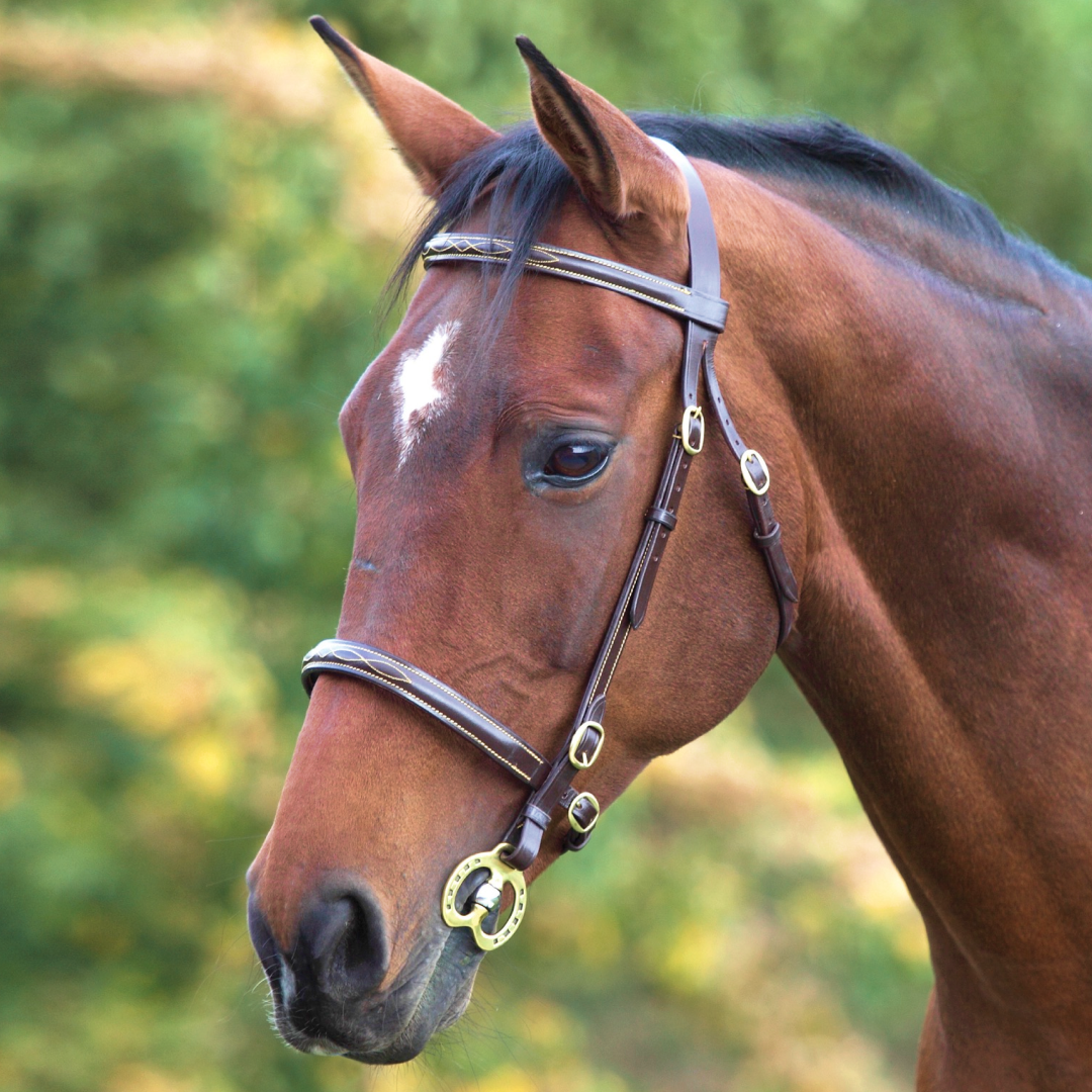 Velociti GARA Fancy Stitched hand Bridle