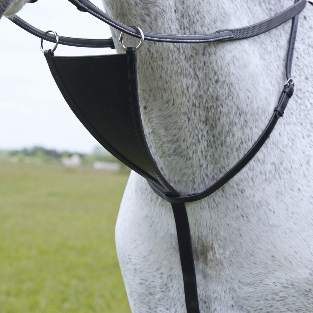 Velociti GARA Bib Martingale