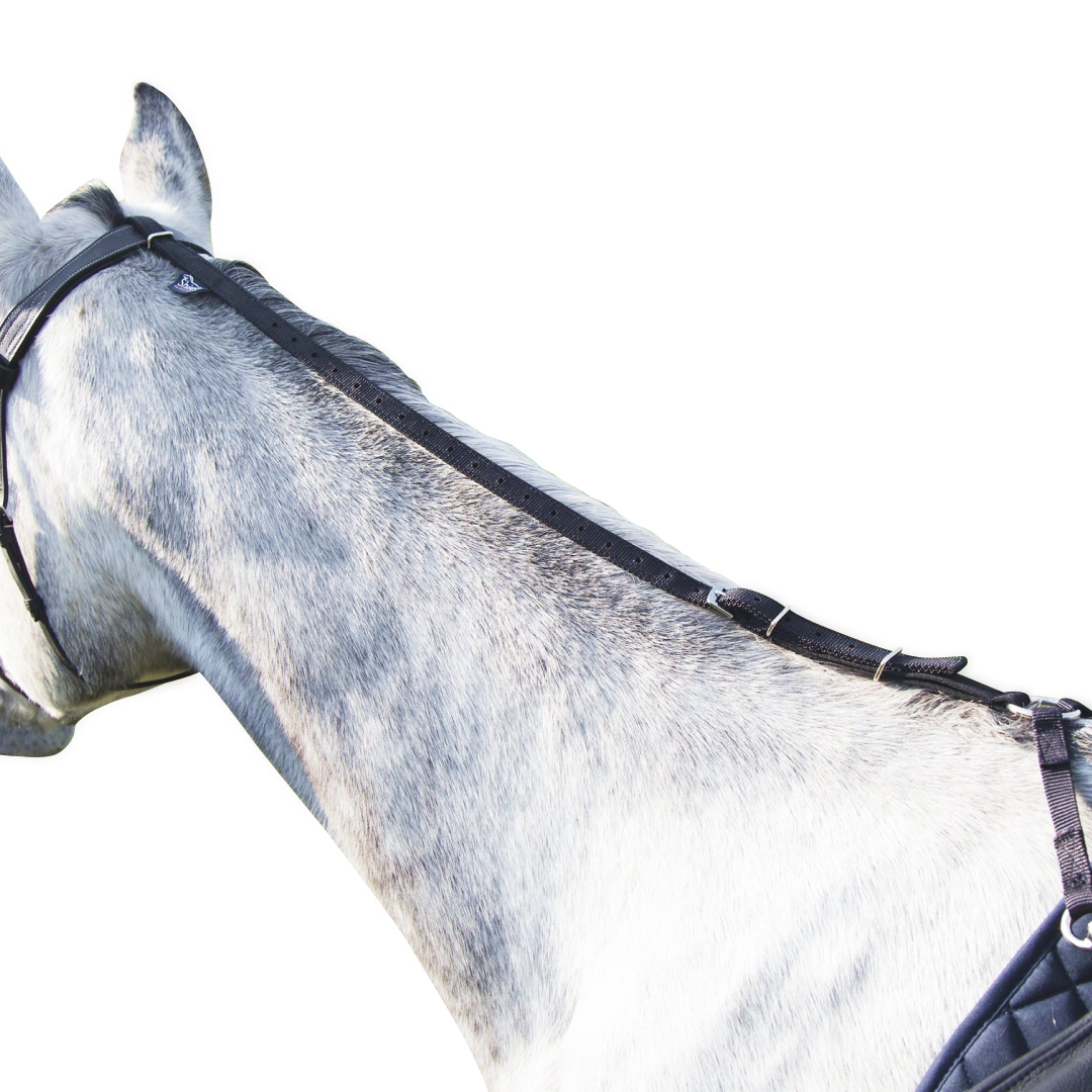 Shires Daisy Rein – GS Equestrian
