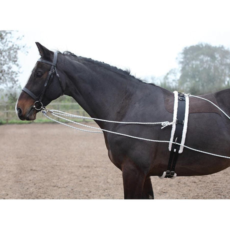 Shires Lunging Aid