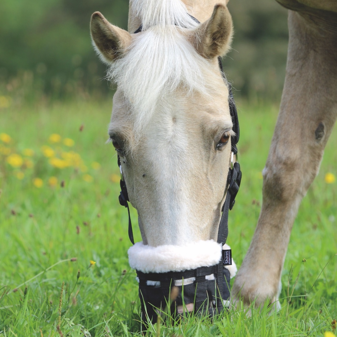 Shires Deluxe Comfort Grazing Muzzle GS Equestrian