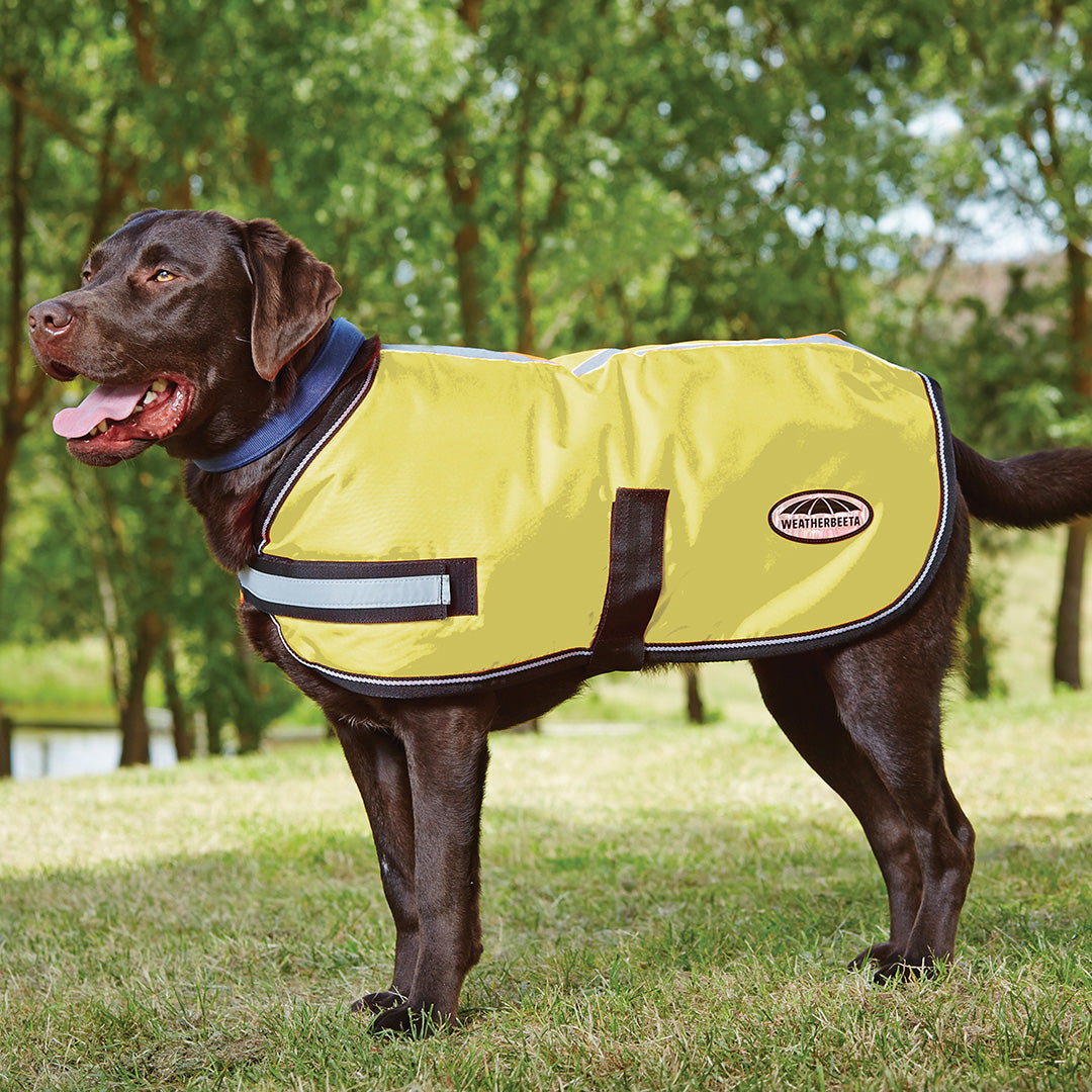Weatherbeeta Reflective Parka 300D Dog Coat #colour_yellow