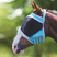 Shires FlyGuard Pro Fine Mesh Earless Fly Mask #colour_teal