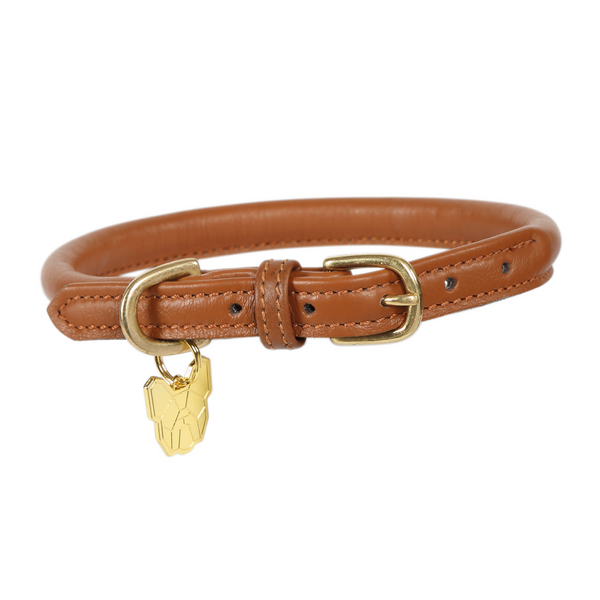 Shires Digby Fox Rolled Leather Dog Collar