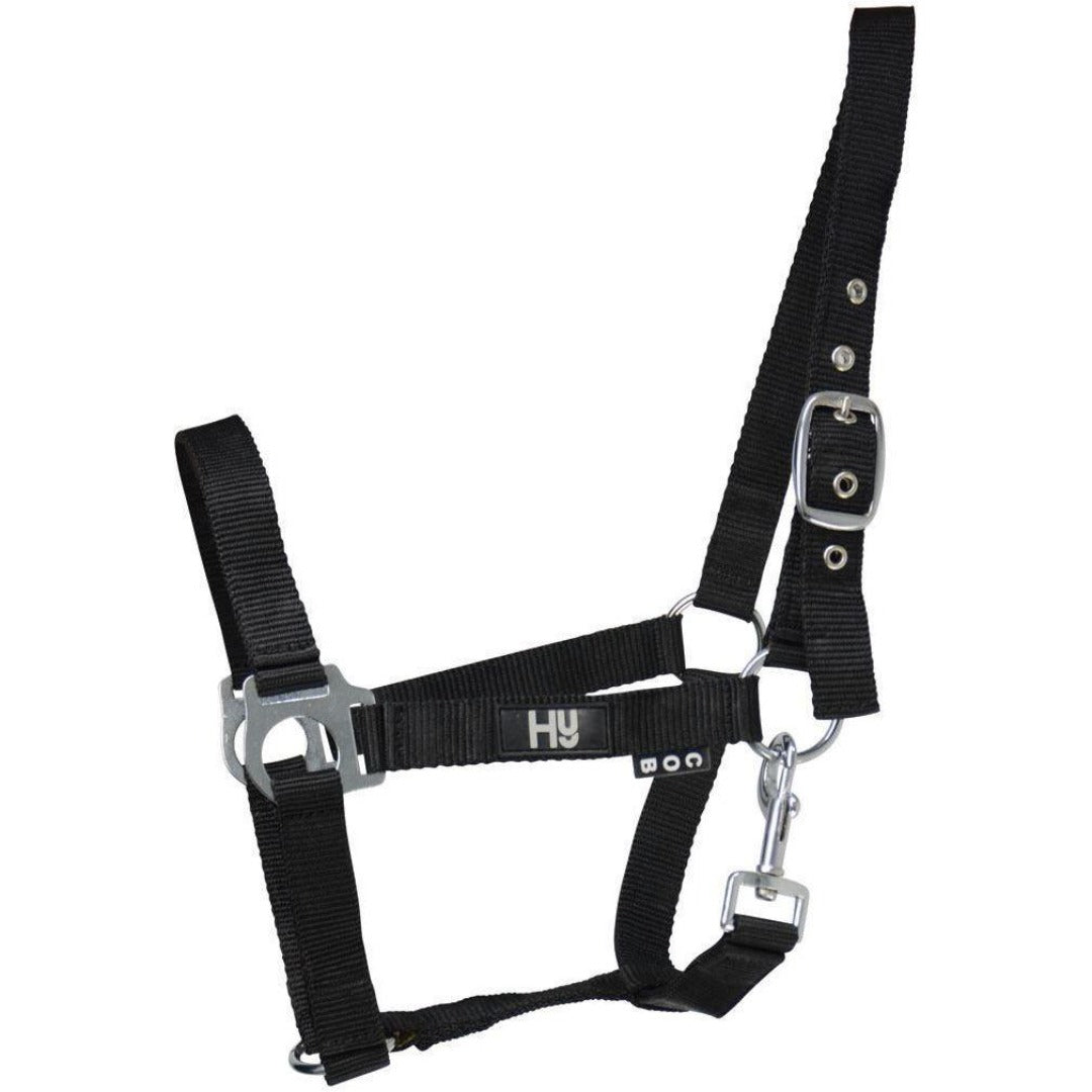 Economy Plus Head Collar