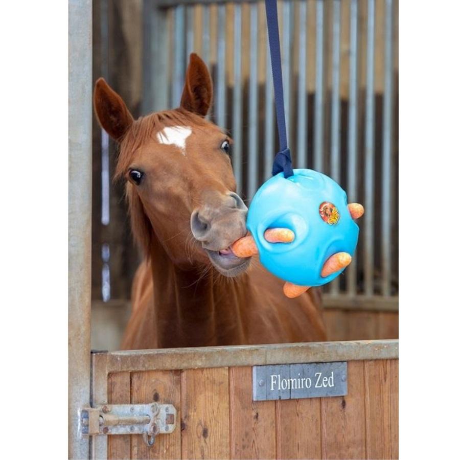 Carrot ball store for horses